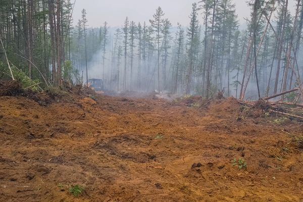 Cost of Hill Clearing in Stockton