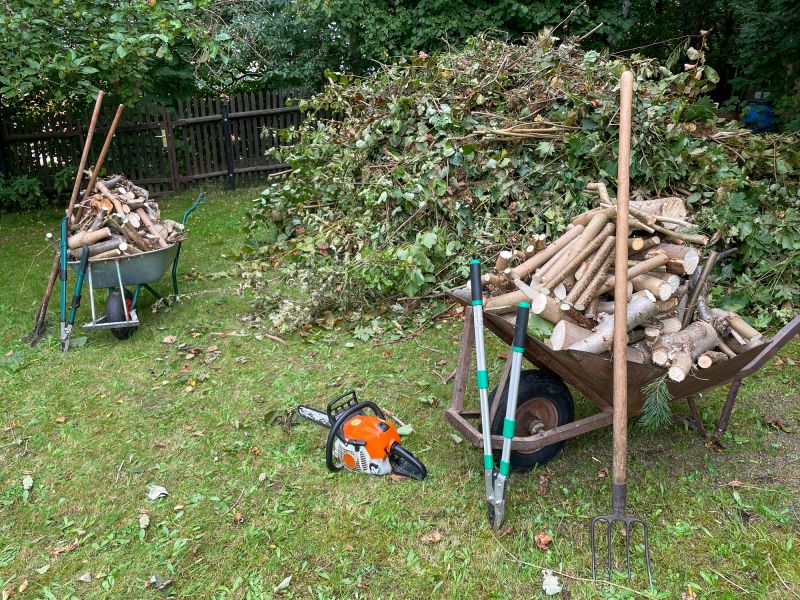 Brush and Debris Removal
