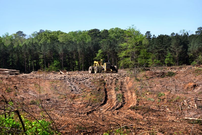 Land Clearing Site Progress